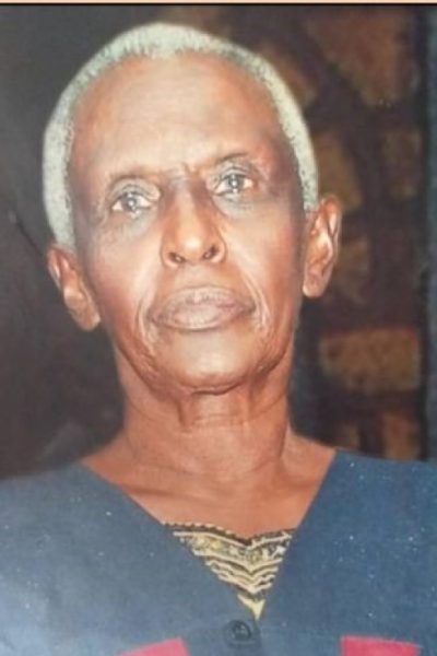 NSHEMEIRE-VIOLET-BIRAARO