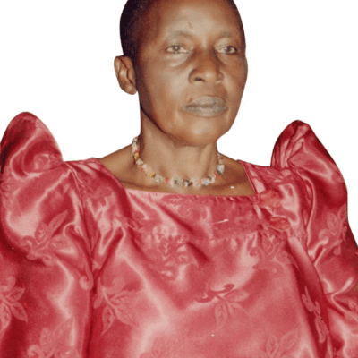 FRIDA-NAMBAFU